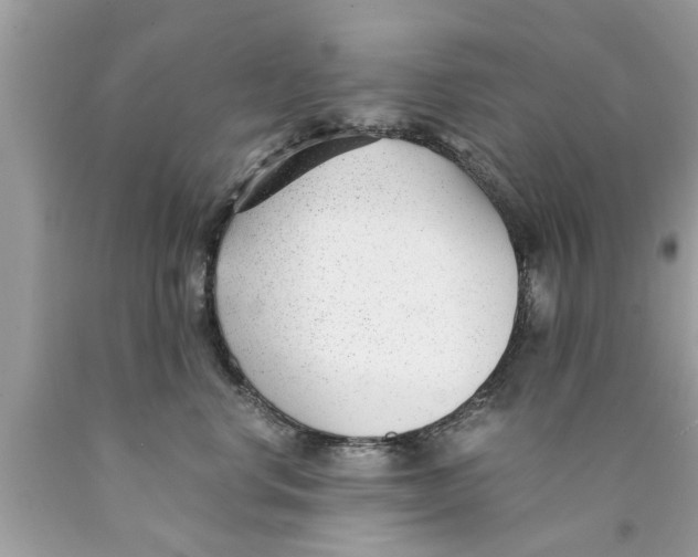 X0000089870668200707262150