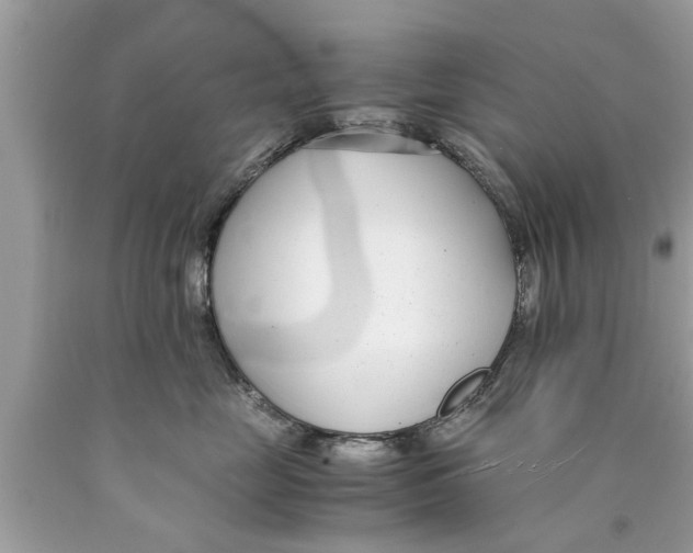 X0000089870669200707262150