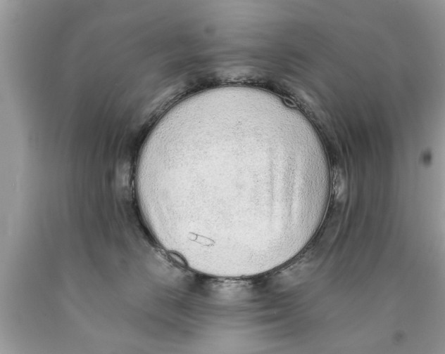 X0000089870670200707262150