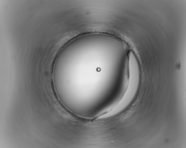 X0000089870673200707262149