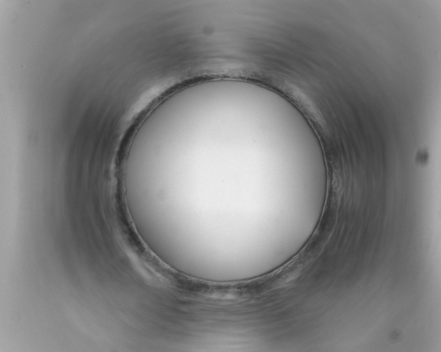 X0000089870674200707262149