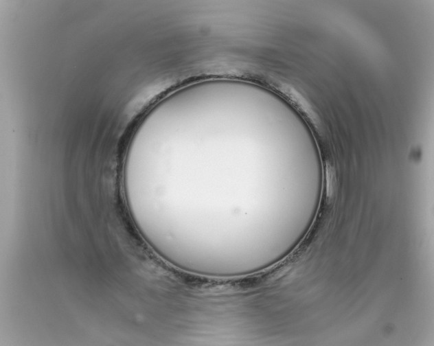 X0000089870675200707262149