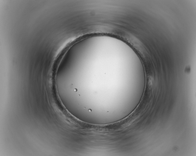 X0000089870676200707262149