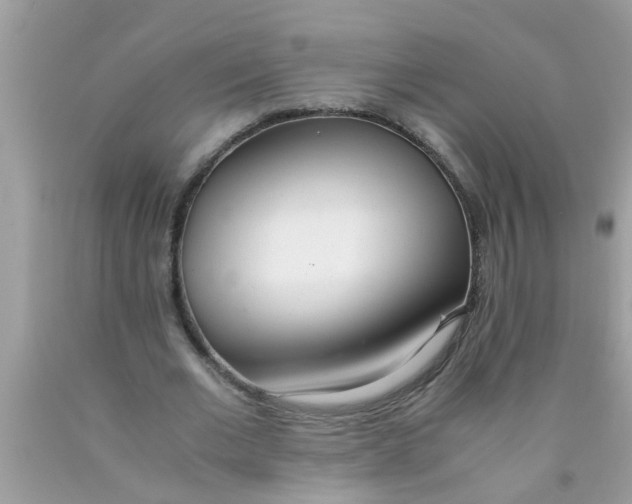 X0000089870677200707262149