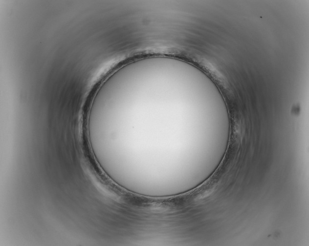 X0000089870678200707262149