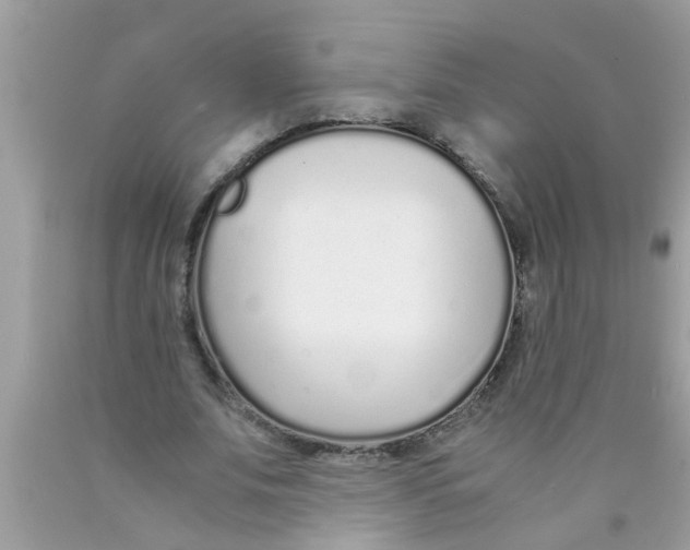 X0000089870679200707262149