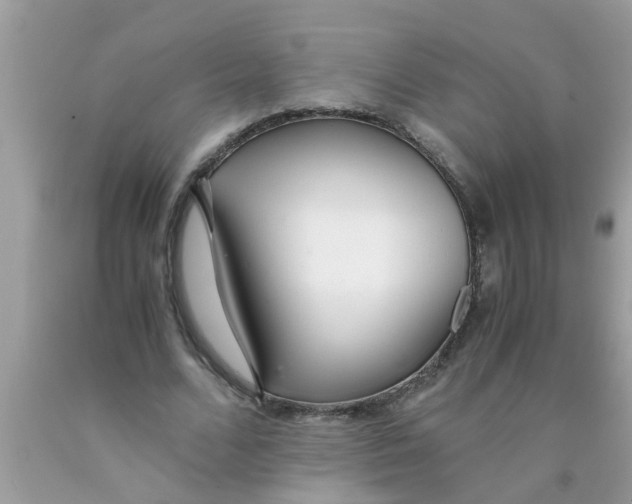 X0000089870680200707262149