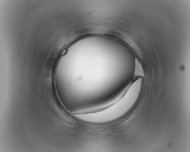 X0000089870681200707262149