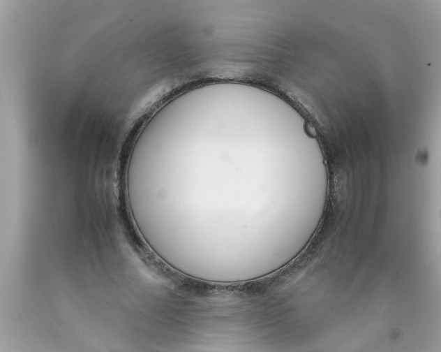 X0000089870682200707262149