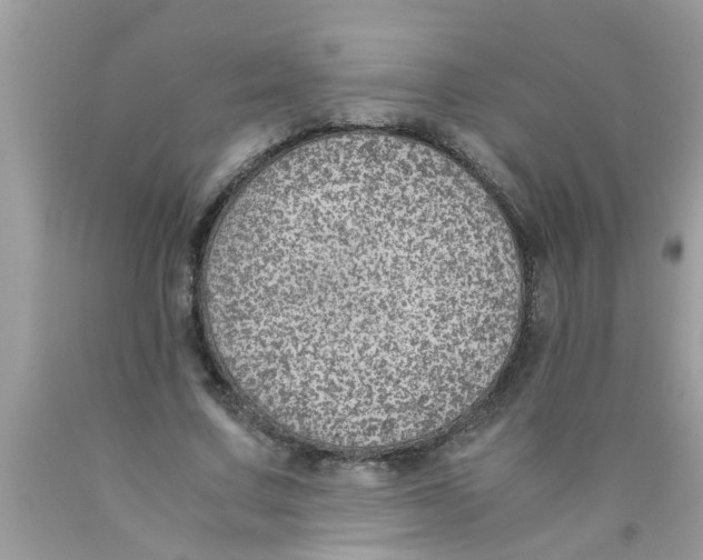 X0000089870683200707262149
