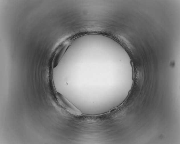 X0000089870684200707262149