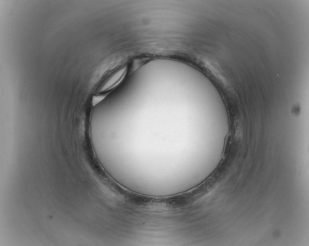 X0000089870685200707262149