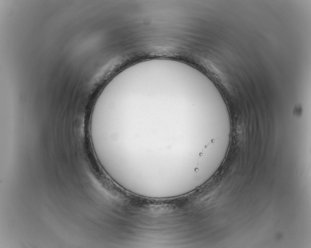 X0000089870686200707262149