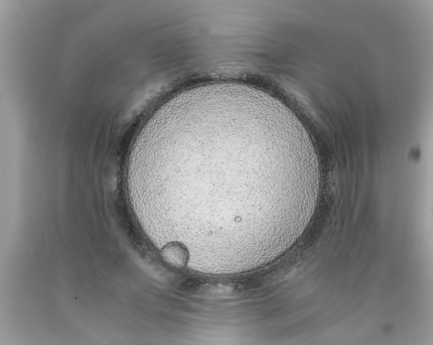 X0000089870687200707262149