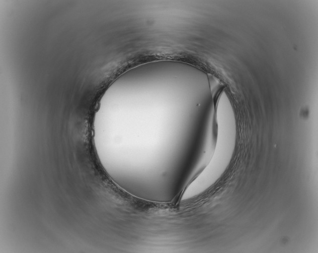X0000089870689200707262149