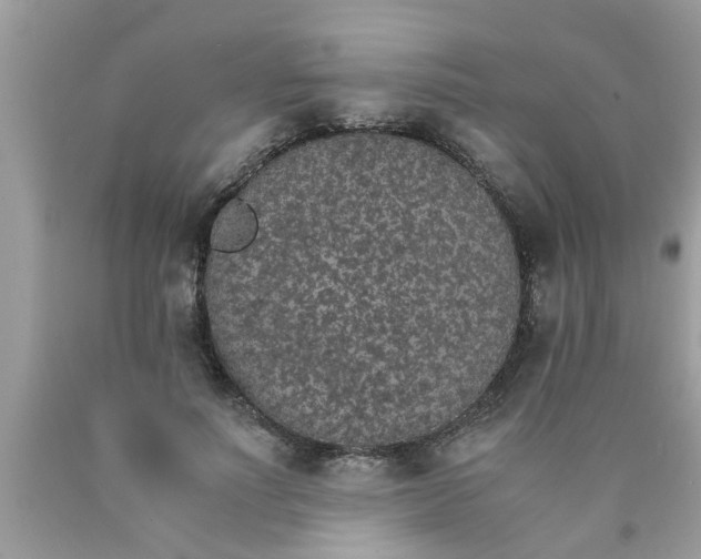 X0000089870691200707262149