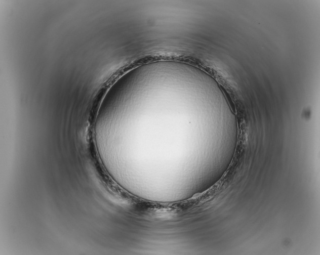 X0000089870692200707262149