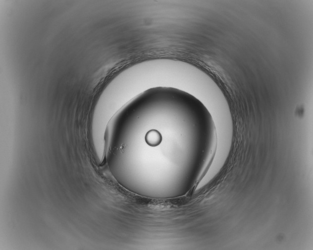 X0000089870693200707262149