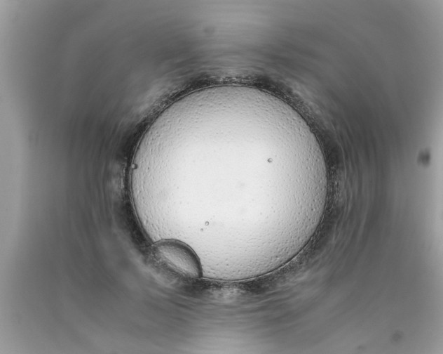 X0000089870695200707262149