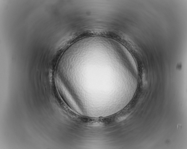 X0000089870696200707262149