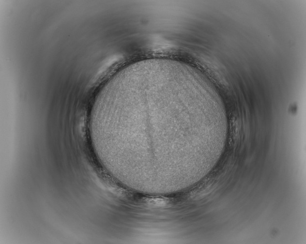X0000089870698200707262149