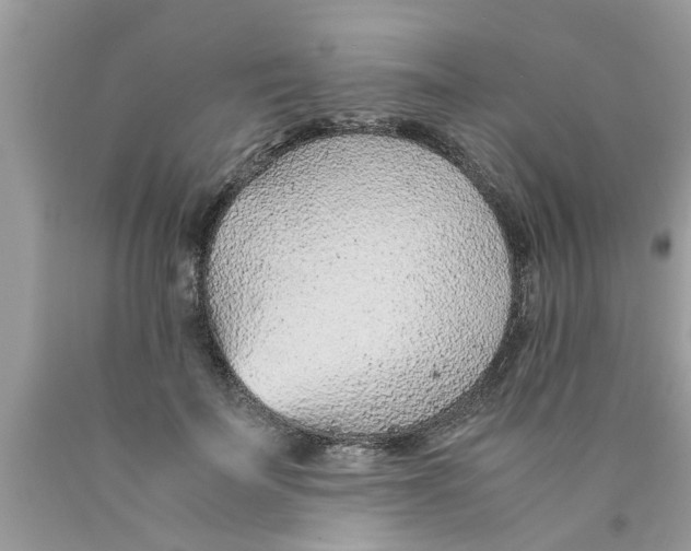X0000089870699200707262149