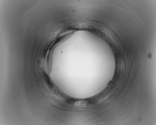 X0000089870700200707262149