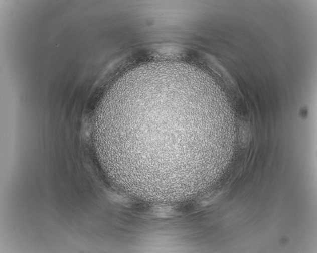 X0000089870701200707262149