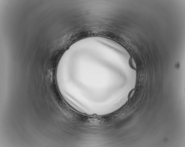 X0000089870703200707262149