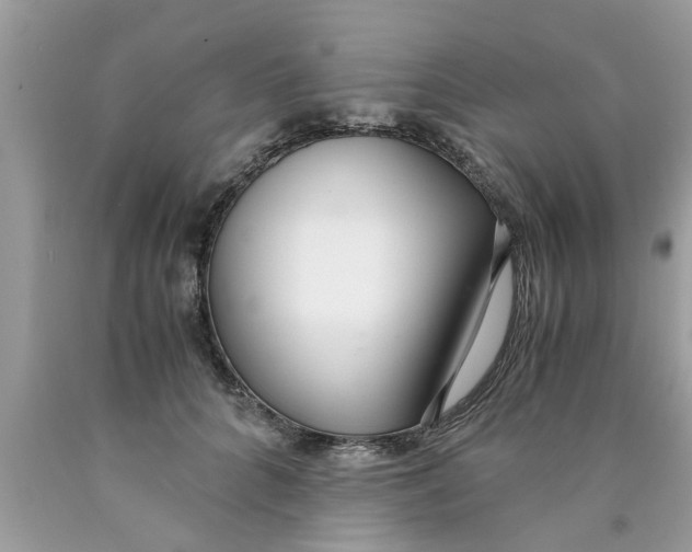X0000089870704200707262149