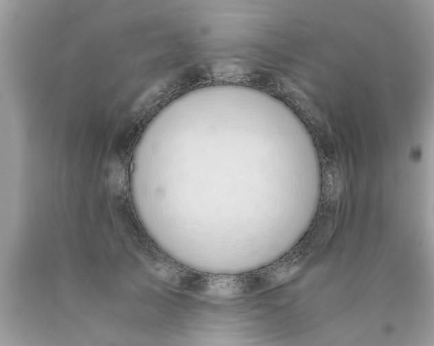 X0000089870705200707262149