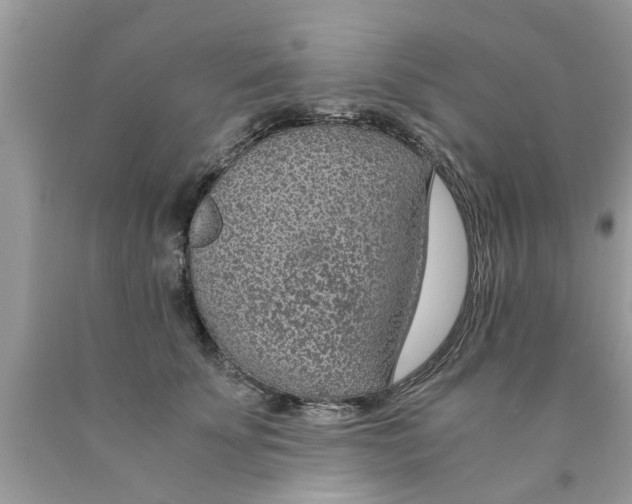 X0000089870707200707262149