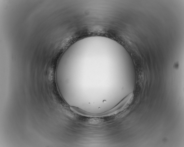 X0000089870708200707262149