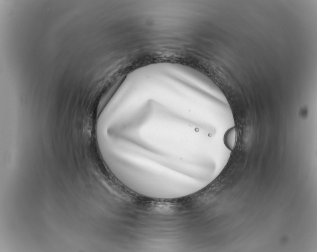 X0000089870710200707262149