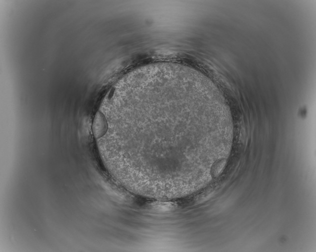 X0000089870711200707262149