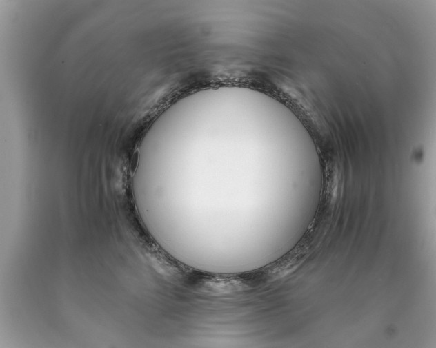 X0000089870712200707262149