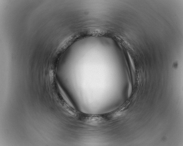 X0000089870716200707262149