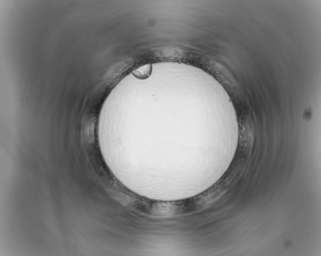 X0000089870717200707262149