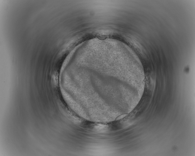 X0000089870718200707262149