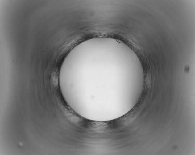 X0000089870719200707262149