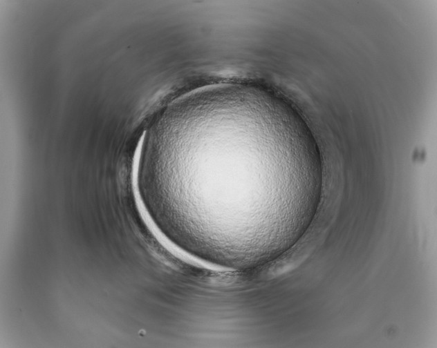 X0000089870720200707262149