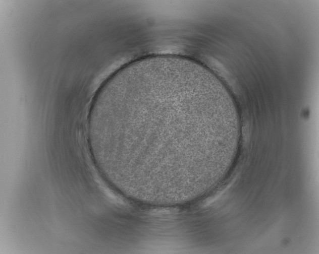 X0000089870721200707262148