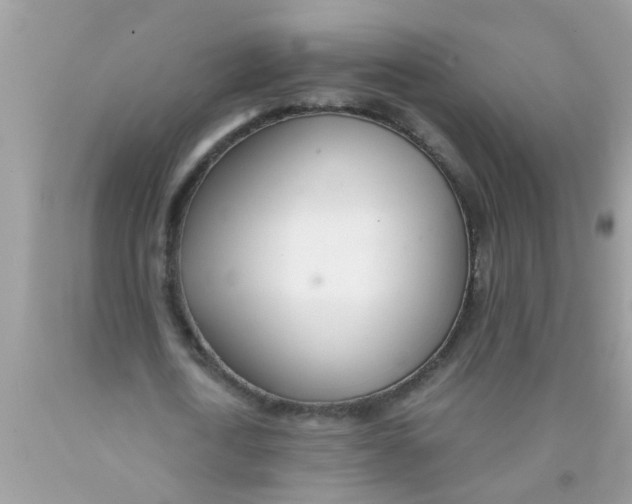 X0000089870722200707262148