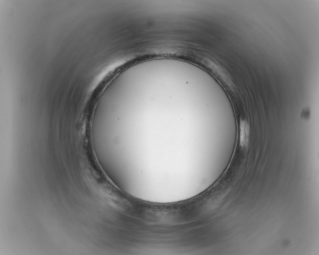 X0000089870723200707262148