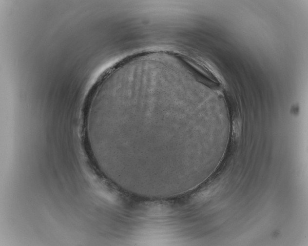 X0000089870724200707262148
