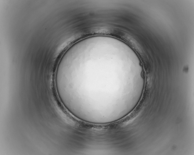X0000089870725200707262148