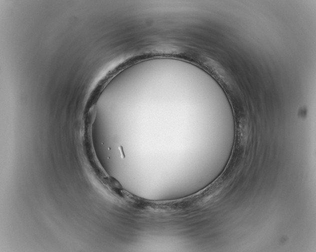 X0000089870726200707262148