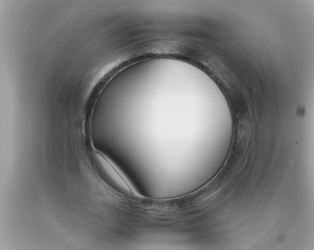 X0000089870727200707262148