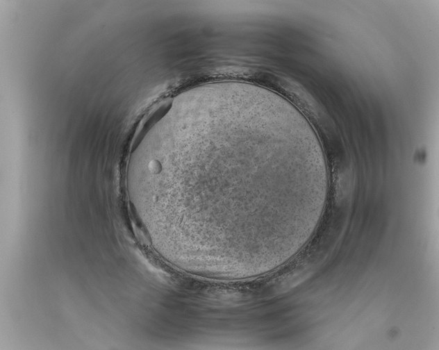 X0000089870729200707262148