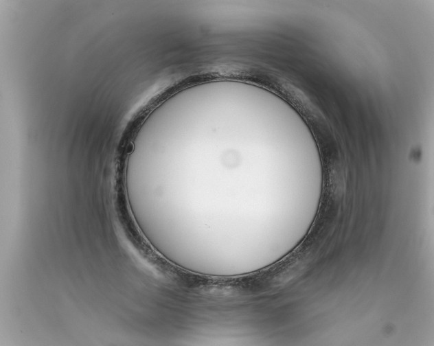 X0000089870730200707262148